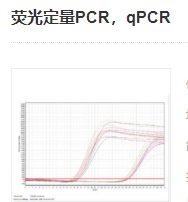 熒光定量PCR，qPCR實驗服務(wù)